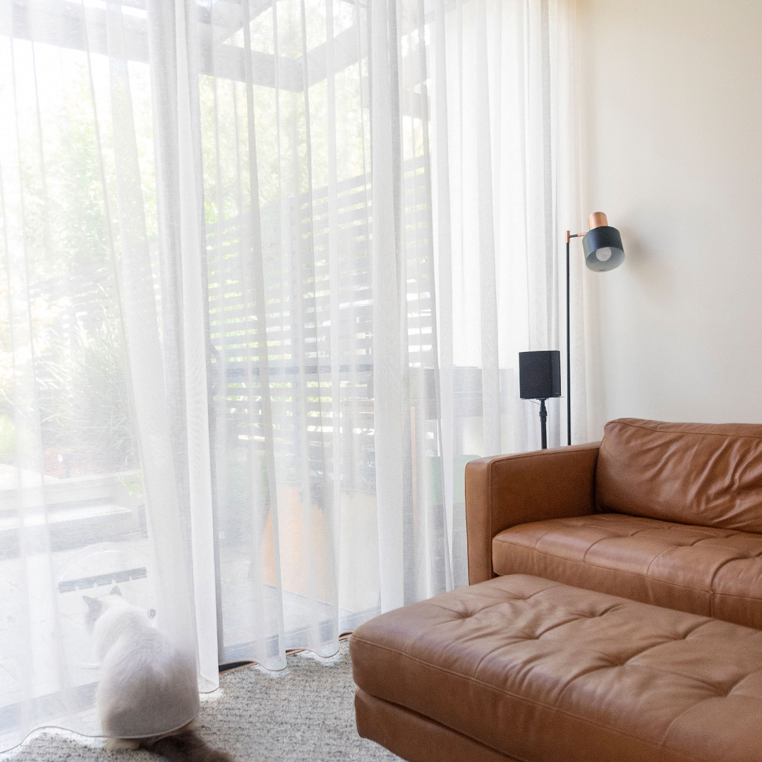 Beautiful sheer curtains next to a leather sofa and a cat sitting under the curtains looking outside. 